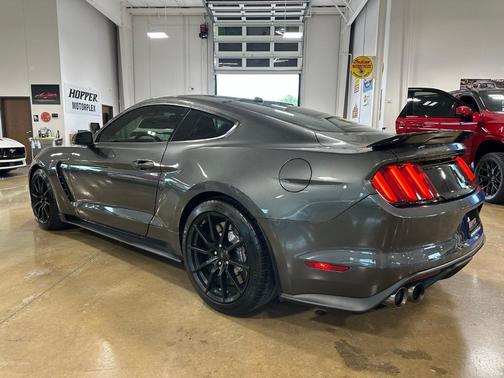 Magnetic 2017 Ford Shelby GT350 Base