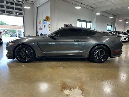 Magnetic 2017 Ford Shelby GT350 Base