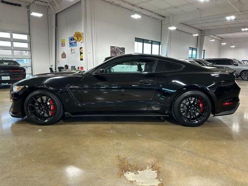 2016 Ford Shelby GT350 Base