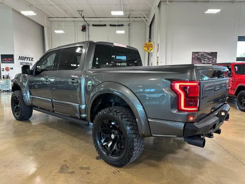 Magnetic 2020 Ford F-150 Raptor