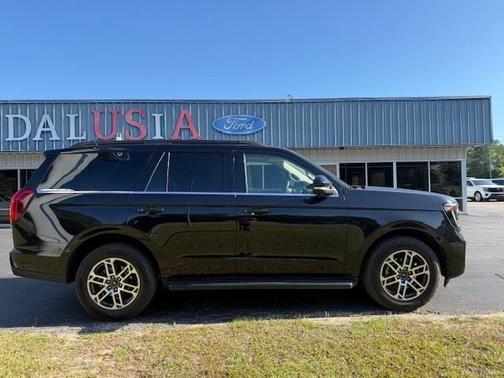 Black 2025 Ford Expedition Active