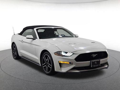 Oxford White 2019 Ford Mustang EcoBoost Premium