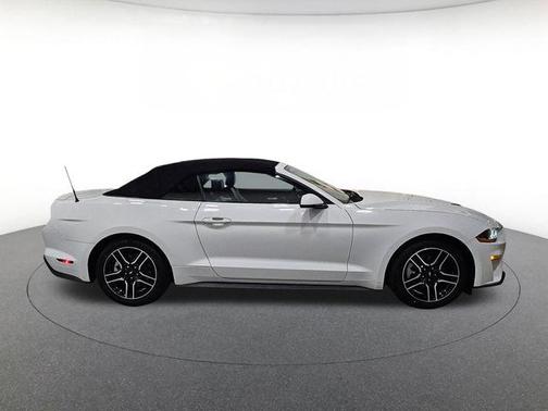 Oxford White 2019 Ford Mustang EcoBoost Premium