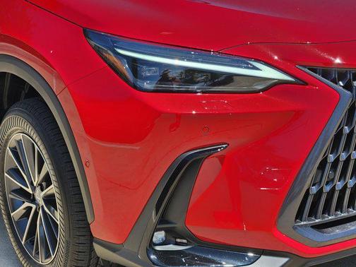 2025 Lexus NX 350h Luxury