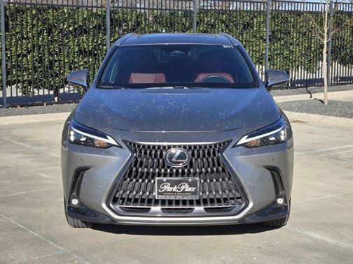 2025 Lexus NX 250 Premium