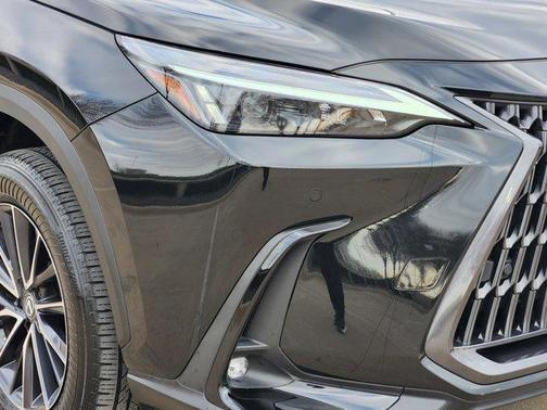 2024 Lexus NX 250 Premium