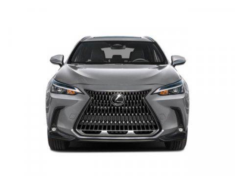 2025 Lexus NX 250 Base