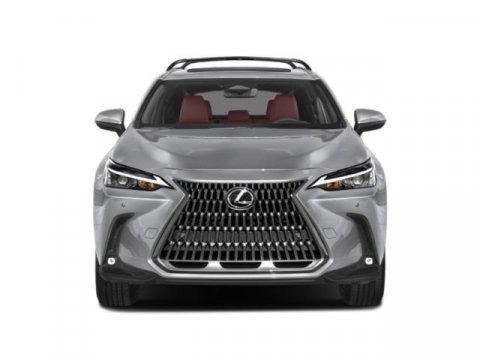 2025 Lexus NX 350 Luxury