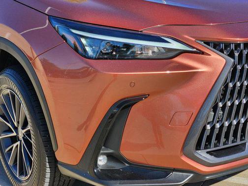 2025 Lexus NX 250 Premium
