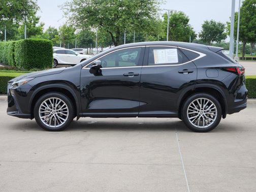 2024 Lexus NX 350 Luxury