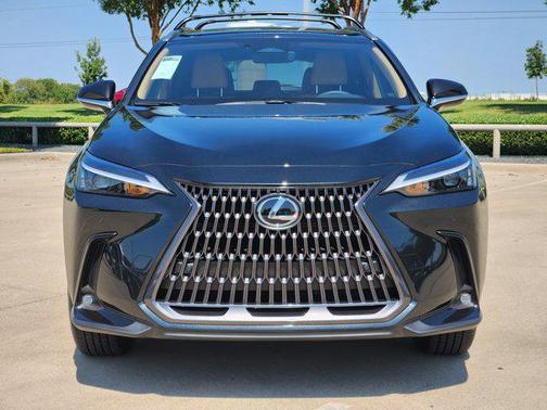 2025 Lexus NX 350h Premium