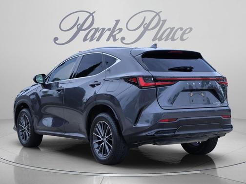 Cloudburst Gray 2022 Lexus NX 350h Premium