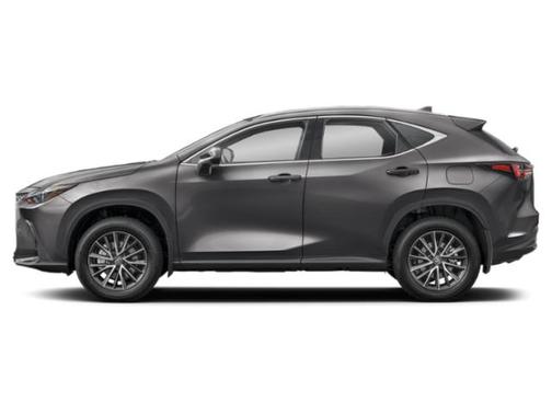 Cloudburst Gray 2022 Lexus NX 350h Premium