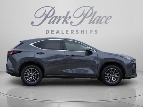 Cloudburst Gray 2022 Lexus NX 350h Premium