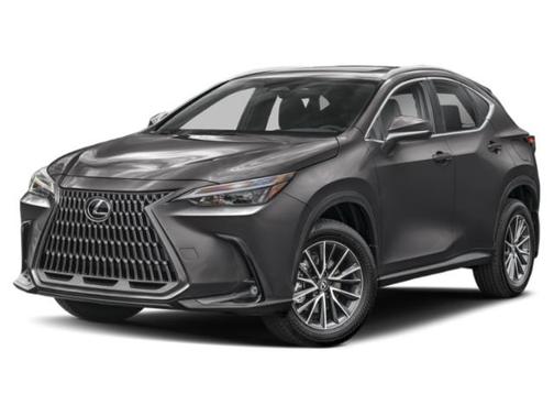 Cloudburst Gray 2022 Lexus NX 350h Premium