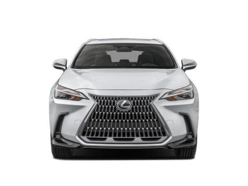 Cloudburst Gray 2022 Lexus NX 350h Premium