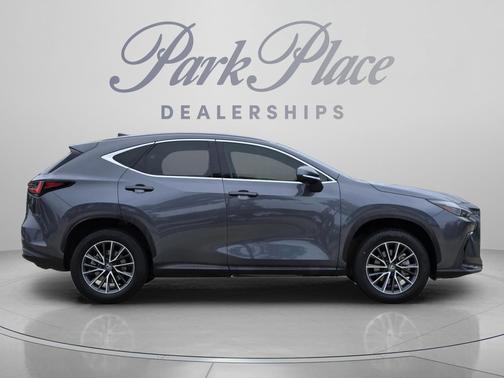 Cloudburst Gray 2024 Lexus NX 250 Premium