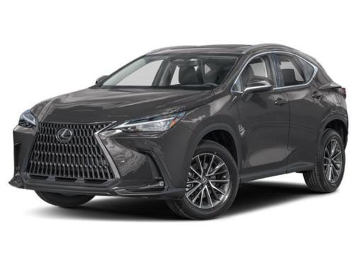 Cloudburst Gray 2024 Lexus NX 250 Premium