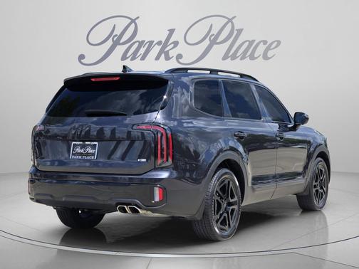 Panthera Metal 2025 Kia Telluride SX X-Line
