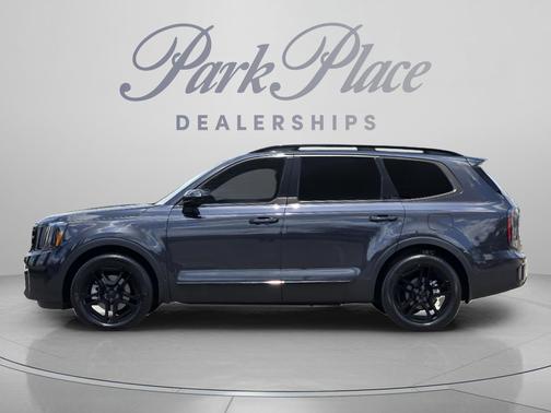 Panthera Metal 2025 Kia Telluride SX X-Line