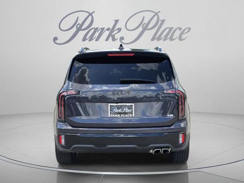 Panthera Metal 2025 Kia Telluride SX X-Line