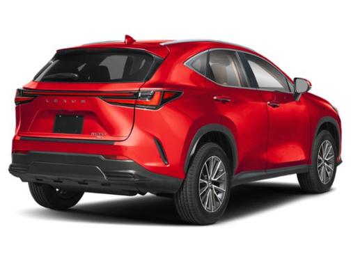 Redline 2025 Lexus NX 350 Luxury