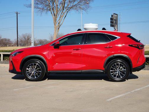 2025 Lexus NX 250 Premium