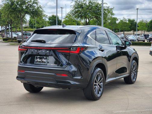 2025 Lexus NX 250 Base