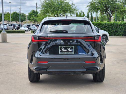 2025 Lexus NX 250 Base