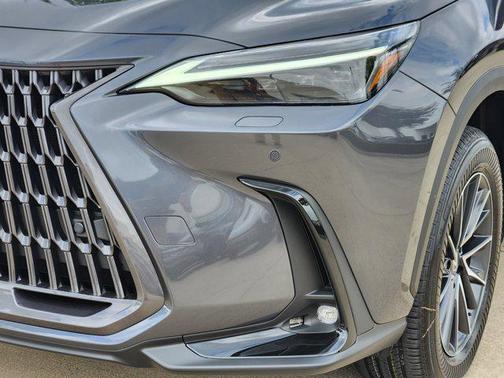 2025 Lexus NX 350 Luxury