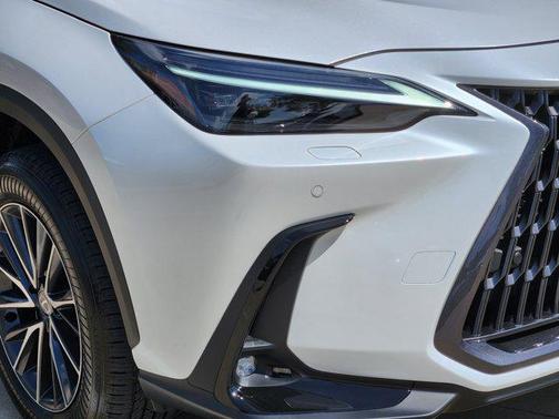 2025 Lexus NX 350 Luxury