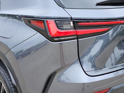 2025 Lexus NX 250 Premium