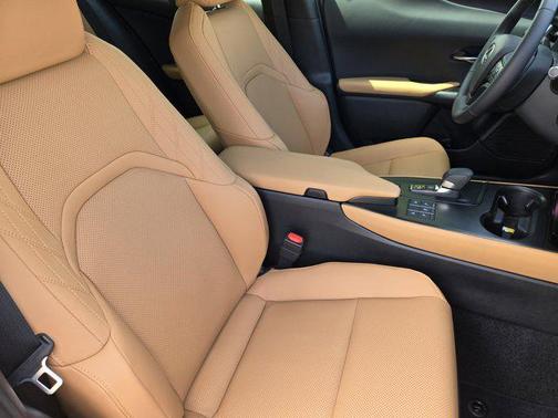 Cloudburst Gray 2026 Lexus UX 300h Premium
