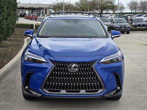 2025 Lexus NX 250 Base