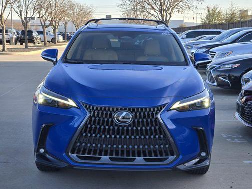 2025 Lexus NX 250 Base