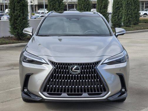 2023 Lexus NX 350h Luxury