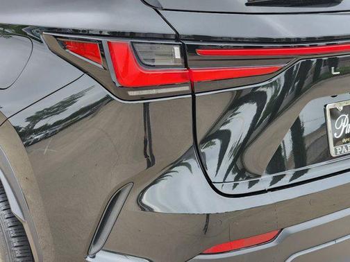 2025 Lexus NX 250 Premium