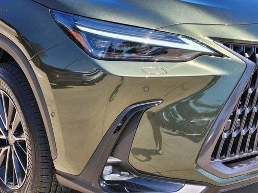 2025 Lexus NX 350h Luxury