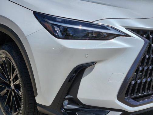 2024 Lexus NX 250 Premium