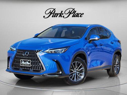 2025 Lexus NX 250 Premium