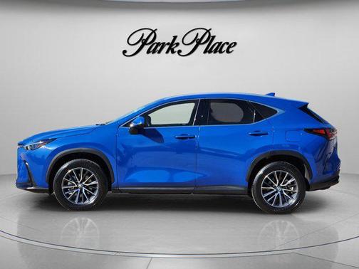 2025 Lexus NX 250 Premium