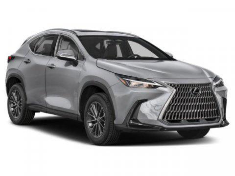 2025 Lexus NX 250 Base