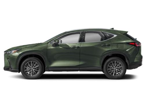 2025 Lexus NX 250 Base