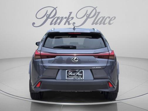 Cloudburst Gray 2025 Lexus UX 300h Premium