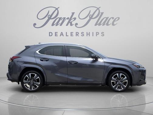 Cloudburst Gray 2025 Lexus UX 300h Premium
