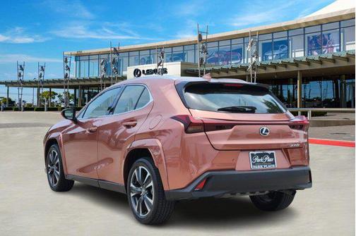 2025 Lexus UX 300h Premium