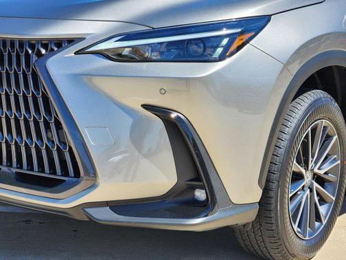 2025 Lexus NX 250 Premium