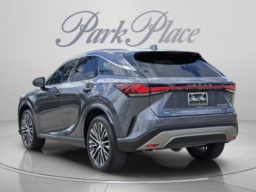 Cloudburst Gray 2025 Lexus RX 350 Premium Plus