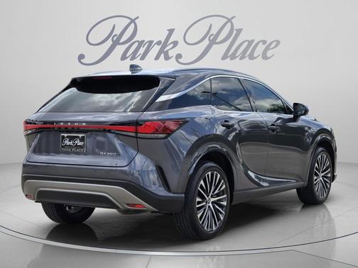 Cloudburst Gray 2025 Lexus RX 350 Premium Plus