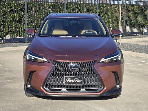 2025 Lexus NX 250 Premium